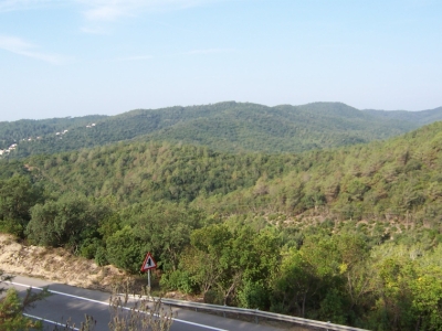 Propera destruccío: 1000 cases a Lloret Verd