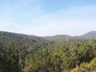 Carretera fora de Sant Pere
