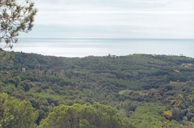 SOS Lloret protegim Costa Marcona